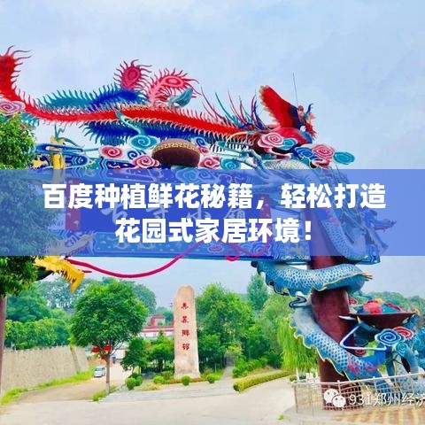 百度种植鲜花秘籍，轻松打造花园式家居环境！