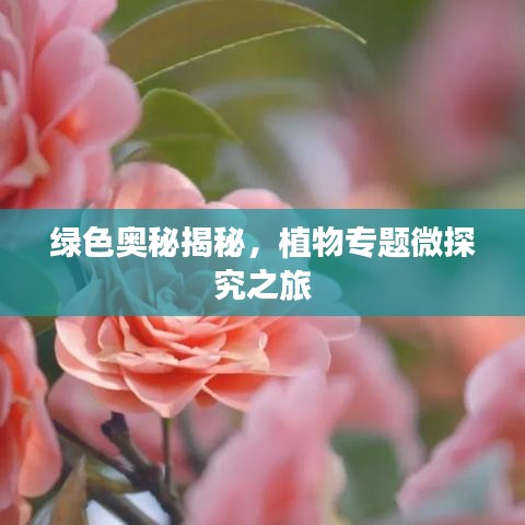 绿色奥秘揭秘，植物专题微探究之旅