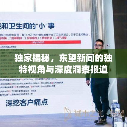 独家揭秘，东望新闻的独特视角与深度洞察报道