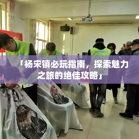 「杨宋镇必玩指南，探索魅力之旅的绝佳攻略」