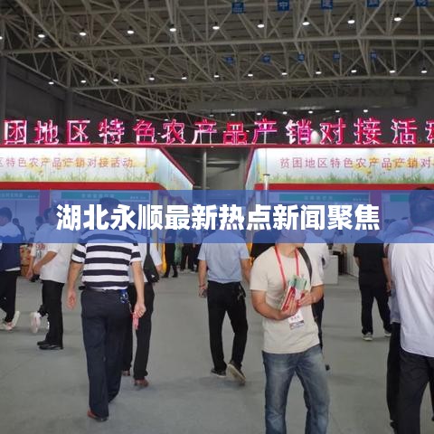 湖北永顺最新热点新闻聚焦