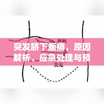 突发脐下腹痛，原因解析、应急处理与预防策略
