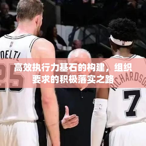 高效执行力基石的构建，组织要求的积极落实之路