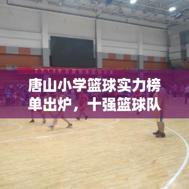 唐山小学篮球实力榜单出炉，十强篮球队闪耀榜单！