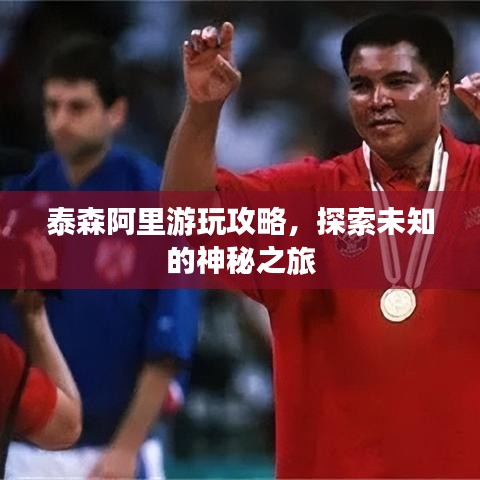 泰森阿里游玩攻略，探索未知的神秘之旅