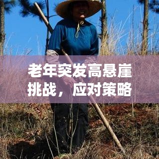 老年突发高悬崖挑战，应对策略揭秘！