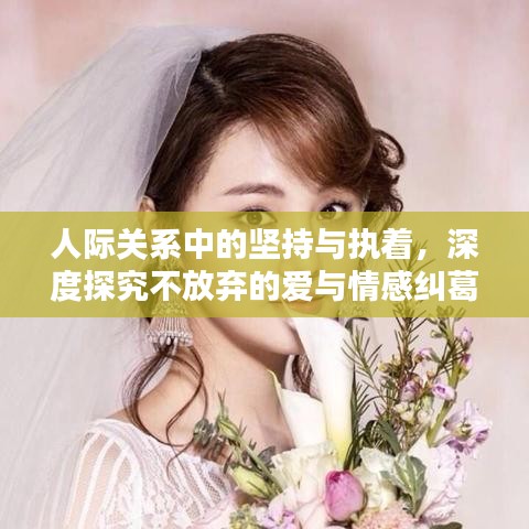 人际关系中的坚持与执着，深度探究不放弃的爱与情感纠葛