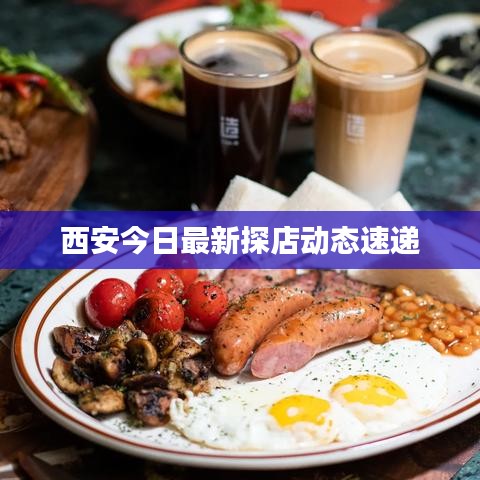 西安今日最新探店动态速递
