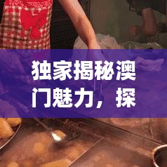 独家揭秘澳门魅力，探寻独特风采与未来展望