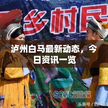 泸州白马最新动态，今日资讯一览