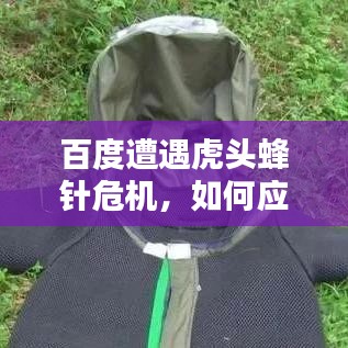百度遭遇虎头蜂针危机，如何应对网络挑战的新考验？