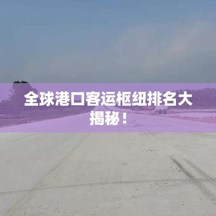 瑞雪飞舞