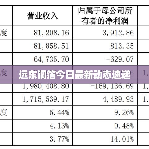 远东铜箔今日最新动态速递
