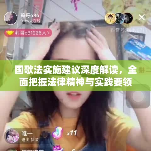 国歌法实施建议深度解读，全面把握法律精神与实践要领