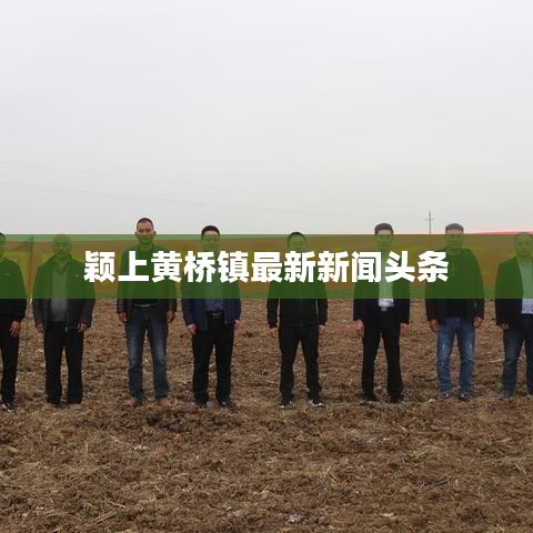 颖上黄桥镇最新新闻头条