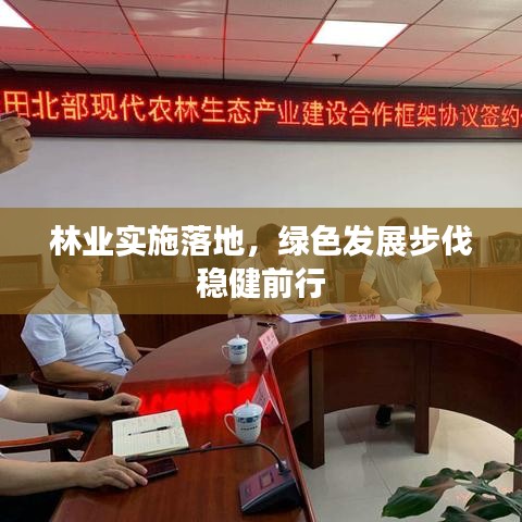 林业实施落地，绿色发展步伐稳健前行
