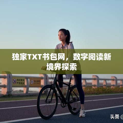 独家TXT书包网，数字阅读新境界探索