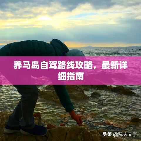 养马岛自驾路线攻略，最新详细指南