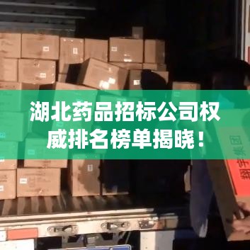 湖北药品招标公司权威排名榜单揭晓！