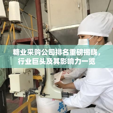 糖业采购公司排名重磅揭晓，行业巨头及其影响力一览