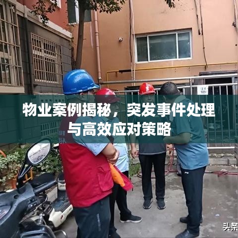 物业案例揭秘，突发事件处理与高效应对策略