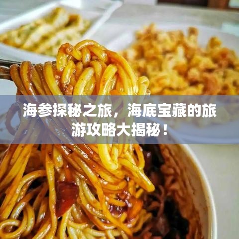 海参探秘之旅，海底宝藏的旅游攻略大揭秘！
