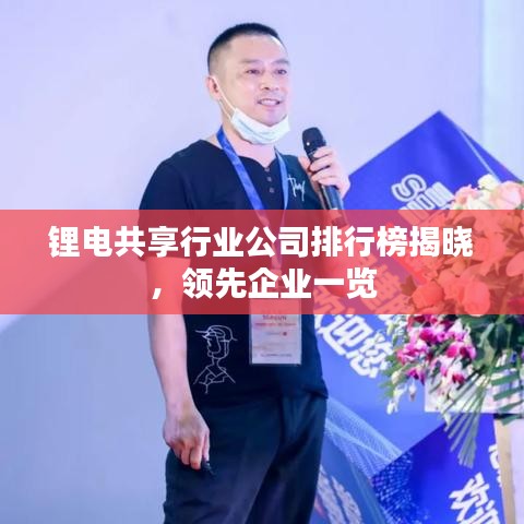 锂电共享行业公司排行榜揭晓，领先企业一览