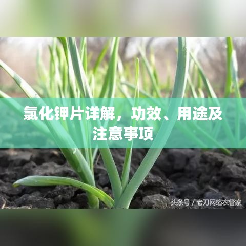 氯化钾片详解，功效、用途及注意事项