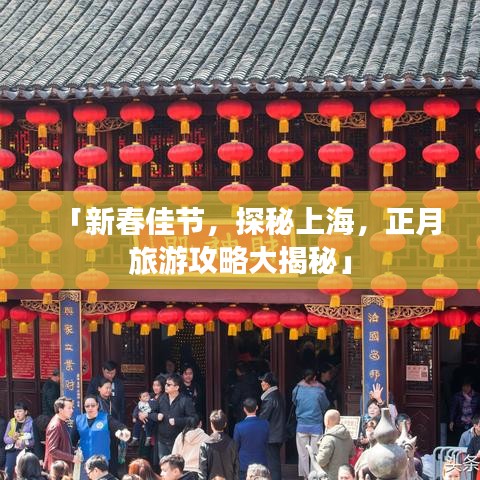 「新春佳节，探秘上海，正月旅游攻略大揭秘」