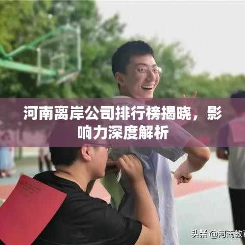 河南离岸公司排行榜揭晓，影响力深度解析