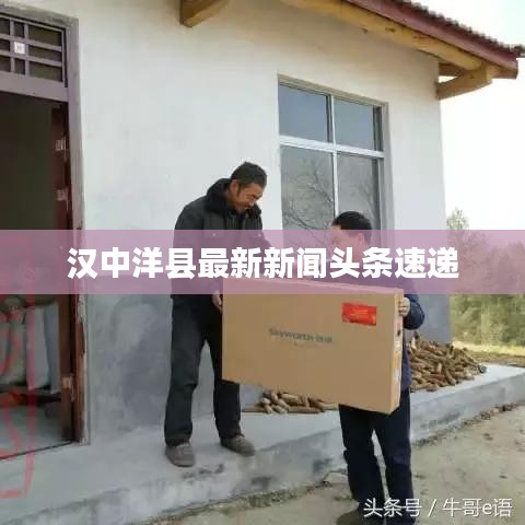 汉中洋县最新新闻头条速递