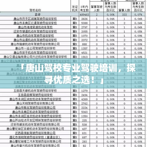 「唐山驾校专业驾驶培训，探寻优质之选！」