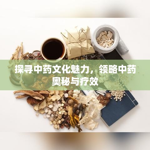 探寻中药文化魅力，领略中药奥秘与疗效