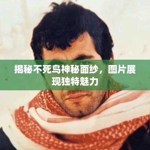 揭秘不死鸟神秘面纱，图片展现独特魅力