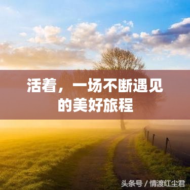 活着，一场不断遇见的美好旅程