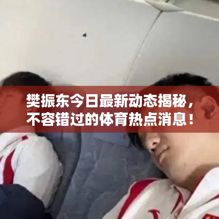 樊振东今日最新动态揭秘，不容错过的体育热点消息！