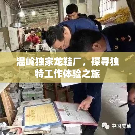 温岭独家龙鞋厂，探寻独特工作体验之旅