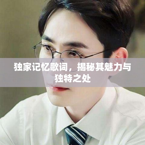 独家记忆歌词，揭秘其魅力与独特之处