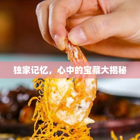 独家记忆，心中的宝藏大揭秘