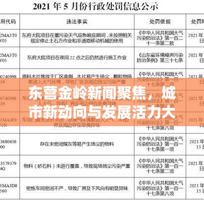 东营金岭新闻聚焦，城市新动向与发展活力大放异彩