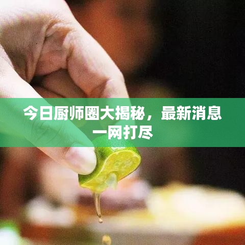 今日厨师圈大揭秘，最新消息一网打尽