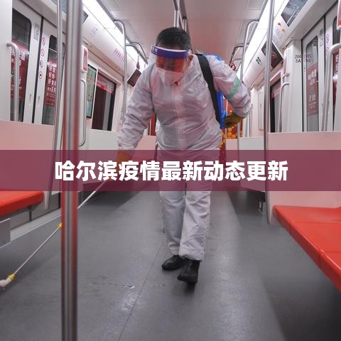 哈尔滨疫情最新动态更新