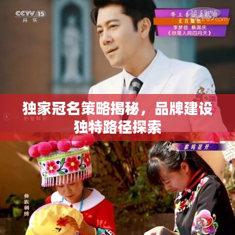 独家冠名策略揭秘，品牌建设独特路径探索