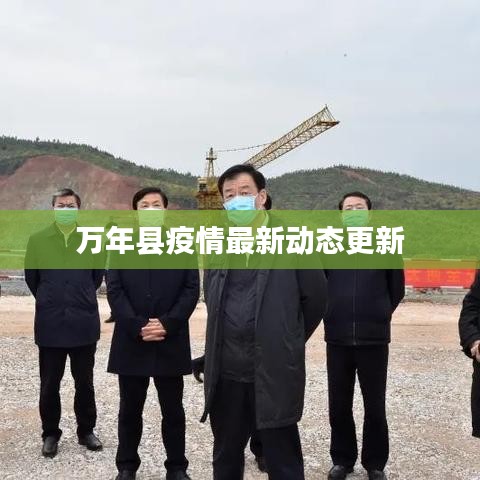 笨鸟先飞