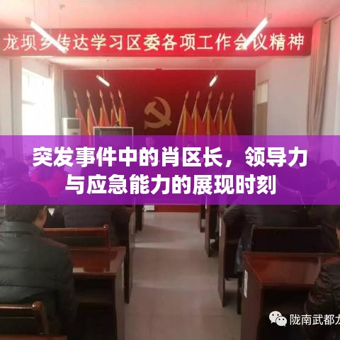 突发事件中的肖区长，领导力与应急能力的展现时刻