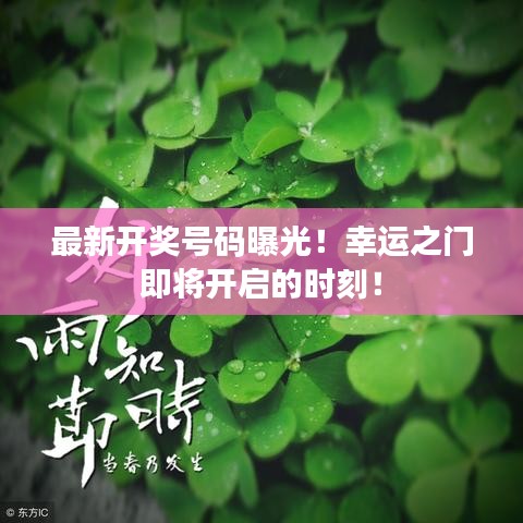 最新开奖号码曝光！幸运之门即将开启的时刻！