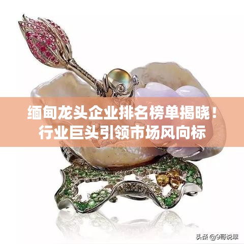 缅甸龙头企业排名榜单揭晓！行业巨头引领市场风向标