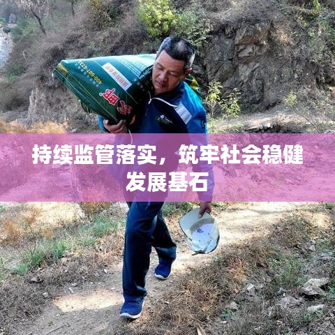 持续监管落实，筑牢社会稳健发展基石
