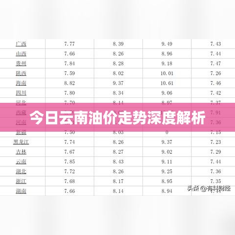 今日云南油价走势深度解析