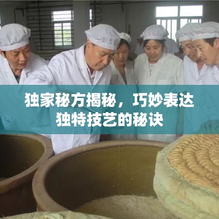 独家秘方揭秘，巧妙表达独特技艺的秘诀